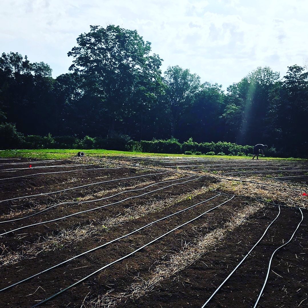 Empresa dedicada a soluções integradas para sistemas de irrigação. Irrifort sistemas de irrigação